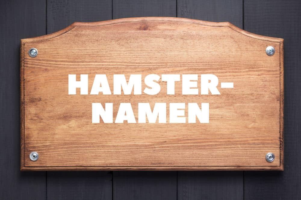 Hamsternamen