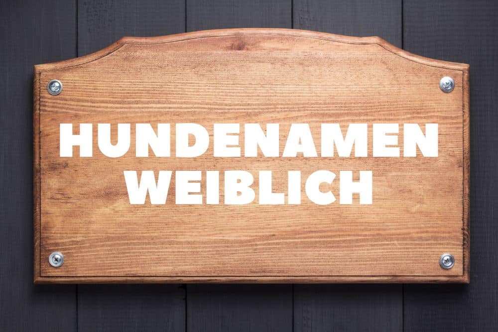 Hundenamen weiblich