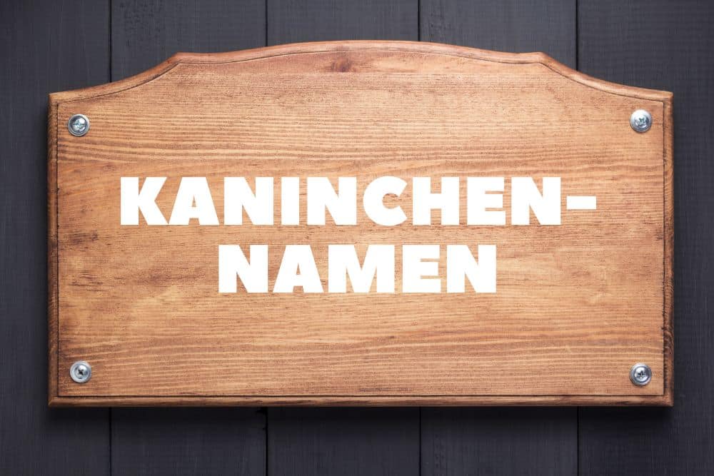 Kaninchennamen