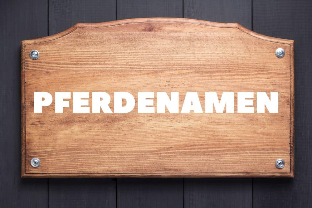 Pferdenamen