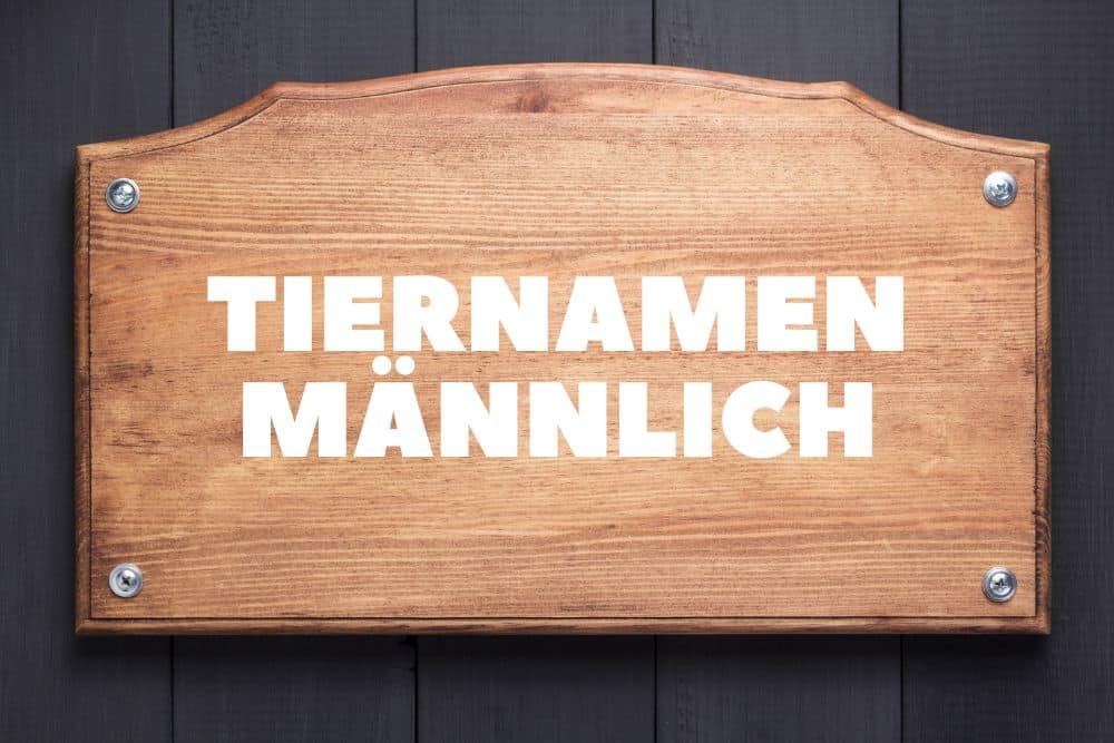 Tiernamen männlich