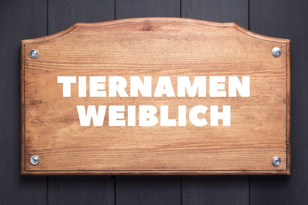 Tiernamen weiblich